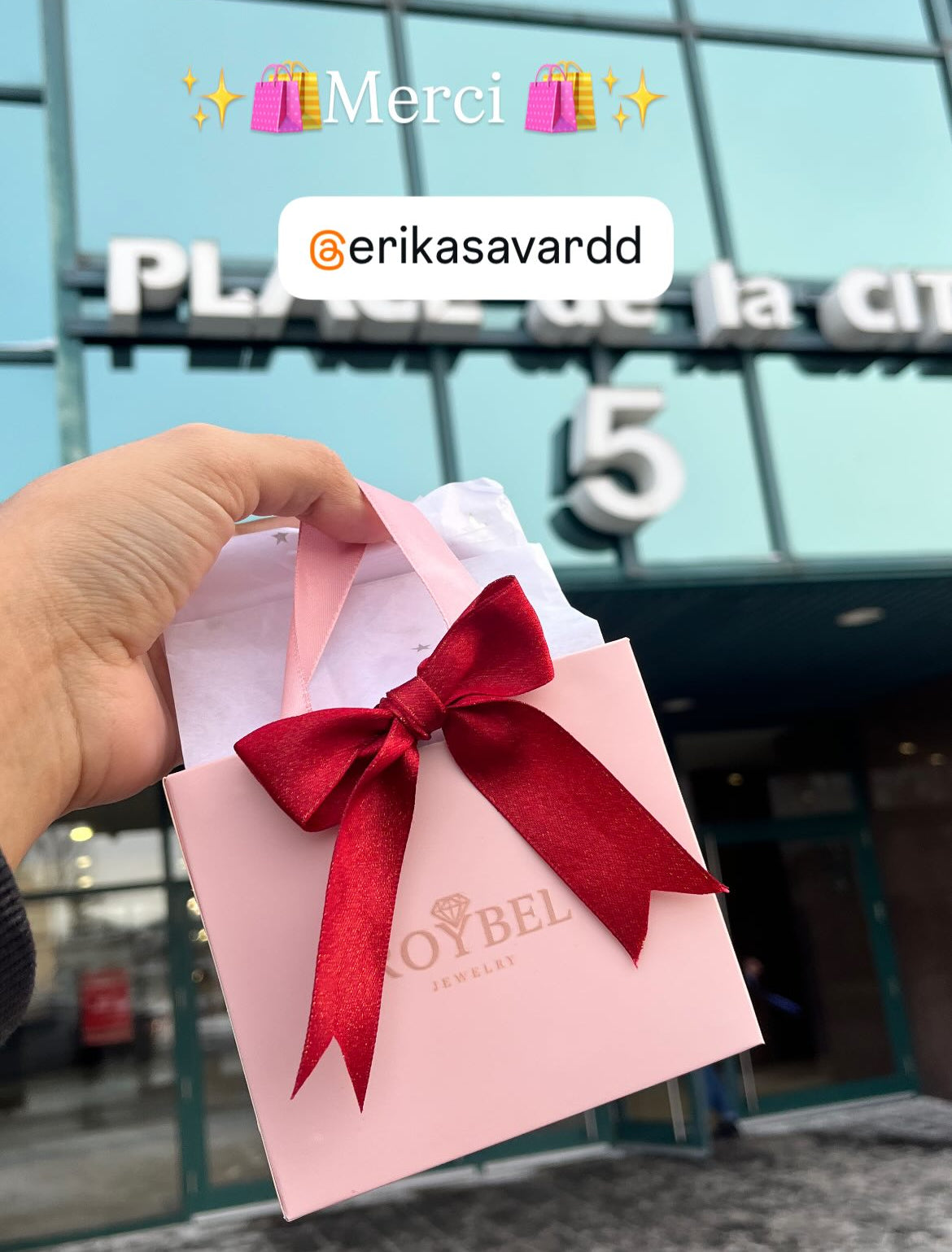 Pink gift bag with a red bow held in front of a building with 'Place de la Cite' sign.
